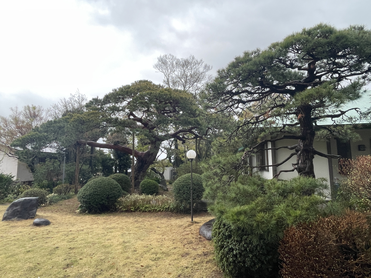 窓から眺める日本庭園がまるで高級旅館にいるよう。