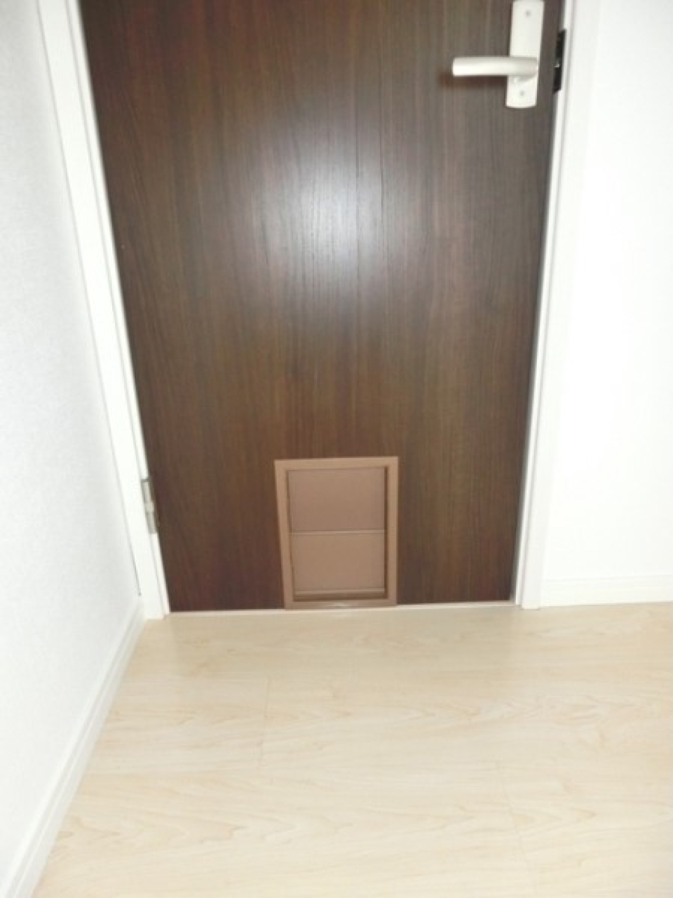 小型犬・猫であれば通れそう！