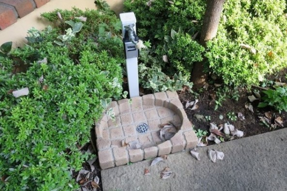 お散歩後はこちらで足洗い