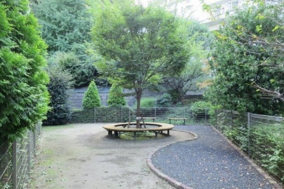 公園かのような広々とした立派なドッグランです