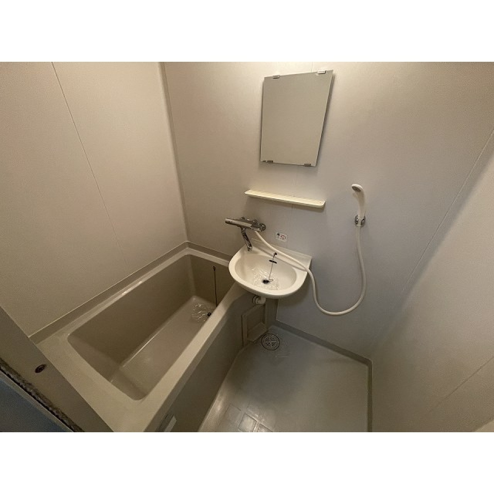 浴室と洗面台が同じ空間にあります。