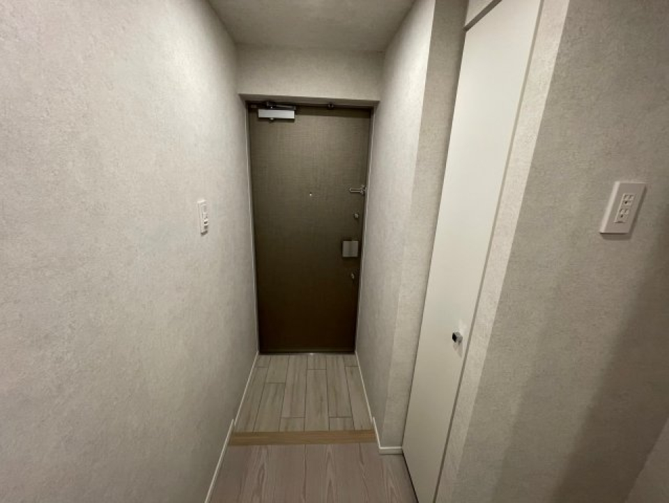 玄関も落ち着いた雰囲気の空間になっています。
ログ銀座イースト（別号室同タイプ）