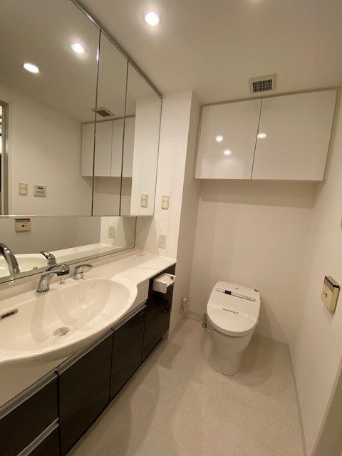 洗面所とトイレが一緒になった設計です。鏡が広々としていて、2人並んでも余裕をもって使える広さです。
参考写真