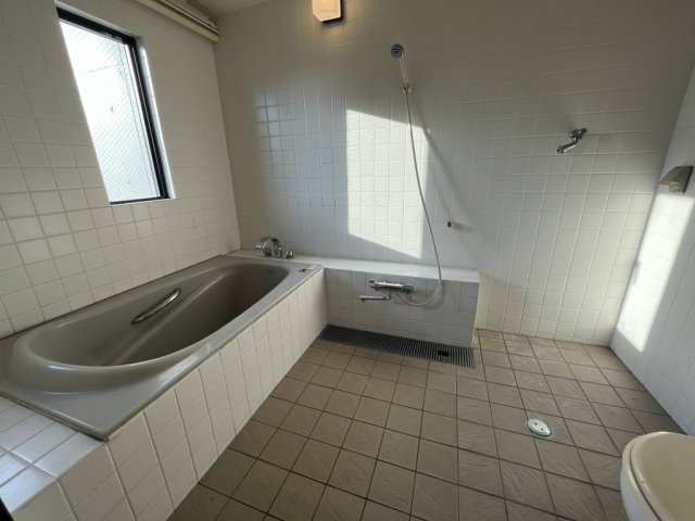 UB！このタイプ...新感覚...