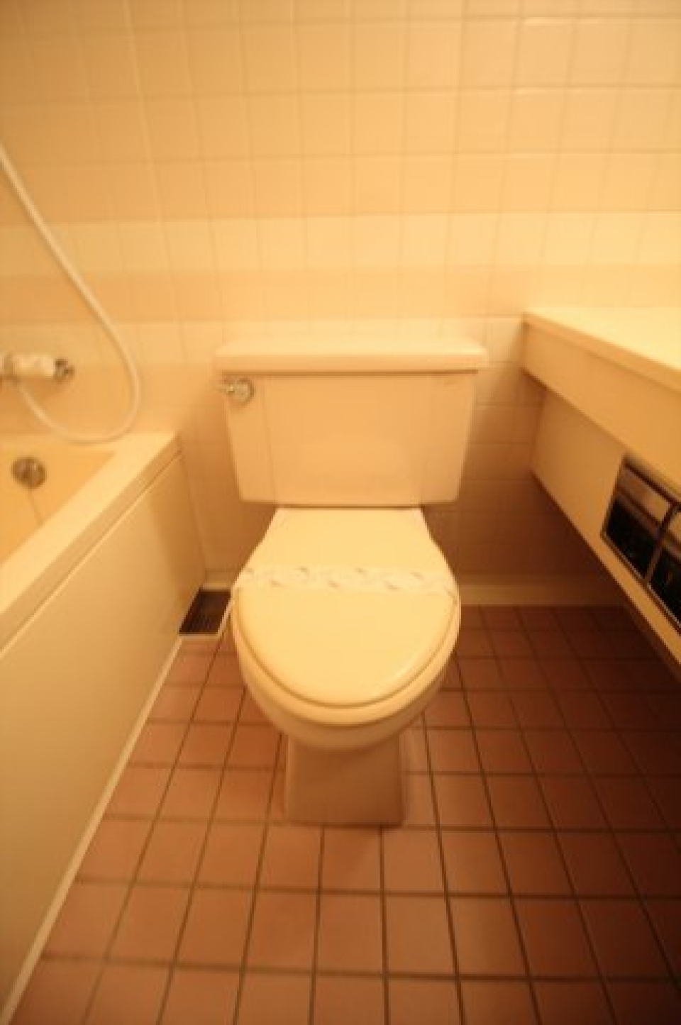 洗面台と浴槽に挟まれたトイレ。まるで現代社会を表したトイレですね。もはや芸術です。