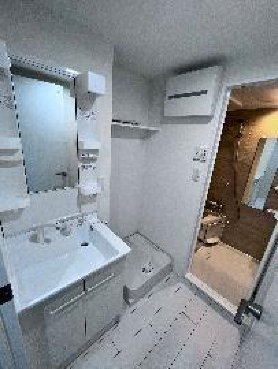 清潔感溢れる洗面所と、その横に追い詰められた室内洗濯機置き場。広々していていいですね！