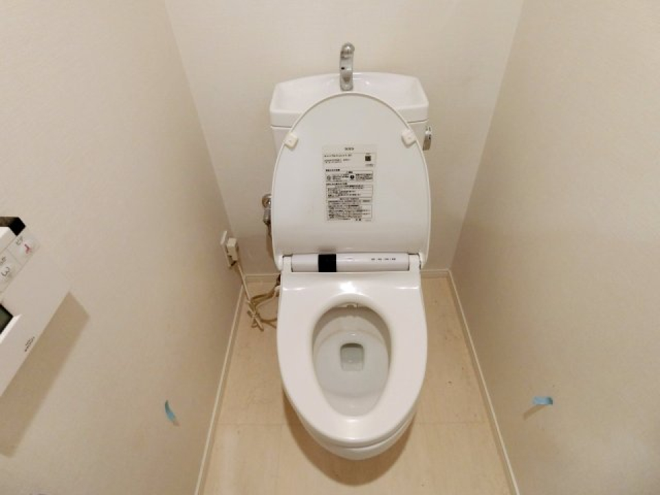 見慣れたトイレです。