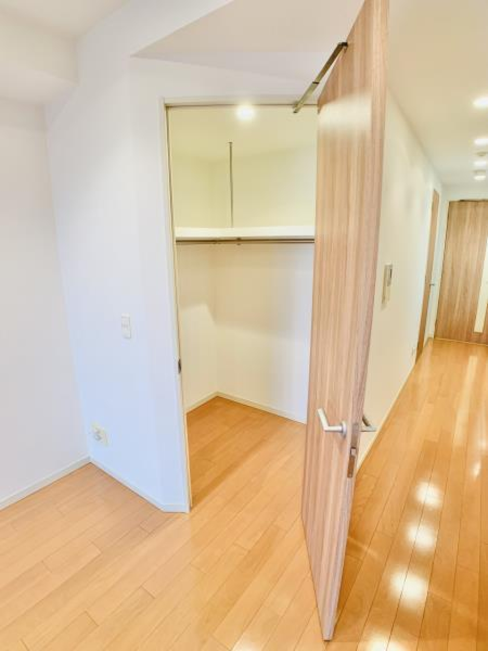 ウォークインクローゼットを開けた時の様子。