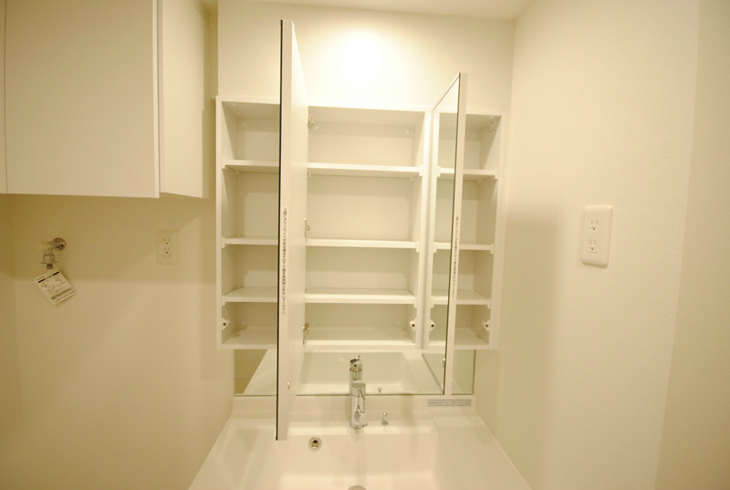 洗面台の収納を開けた時の様子。
