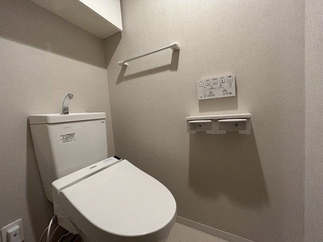 棚を開けた時の様子。