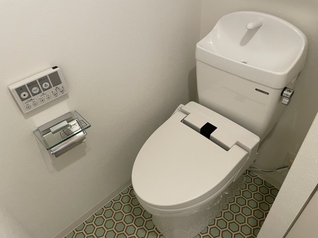 手を洗うことのできるトイレです。