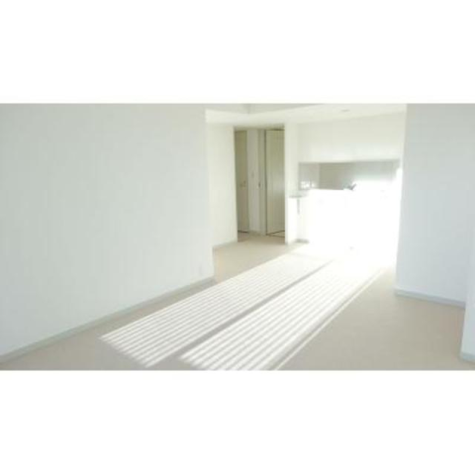 太陽もしっかり取り込んで！