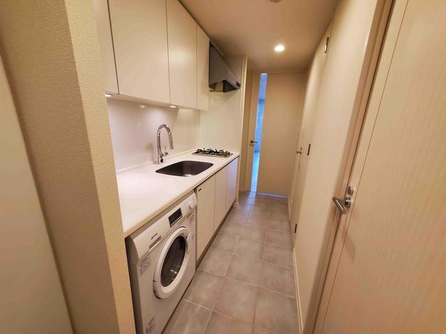 洗濯機はキッチンに埋め込まれています。