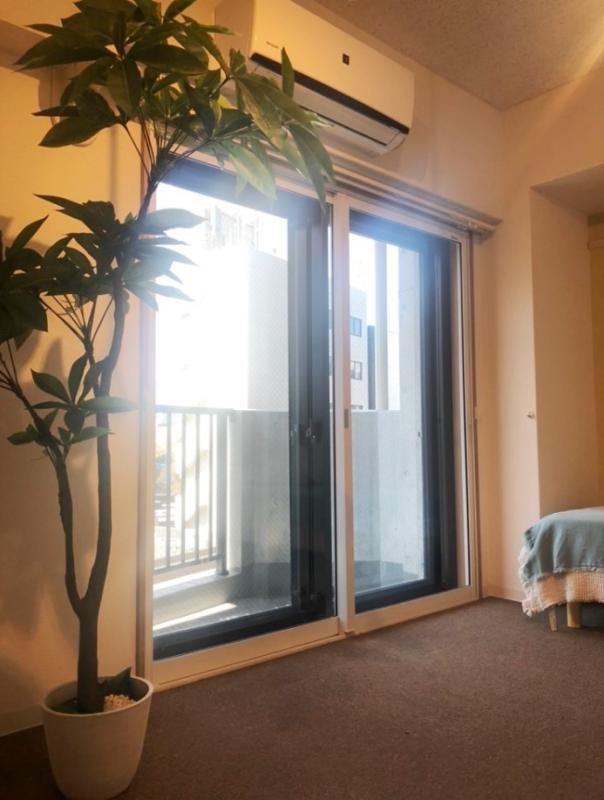 バルコニーへのアクセスができます。