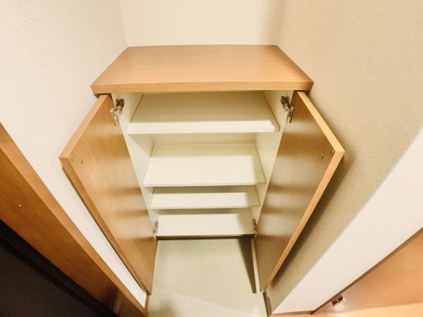 シューズボックスを開けた時の様子。