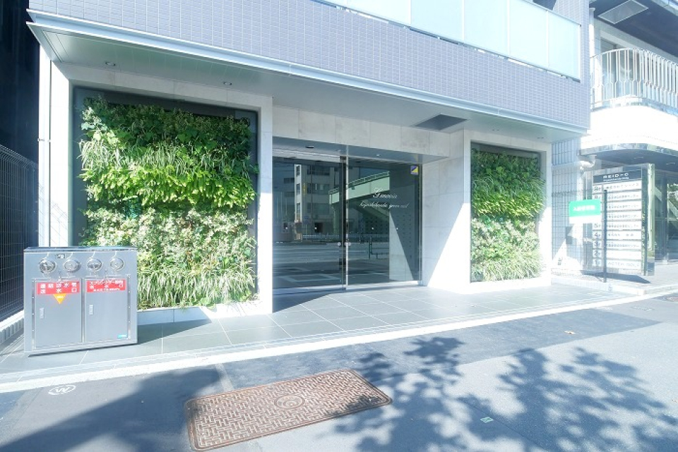 エントランスは緑があって癒される