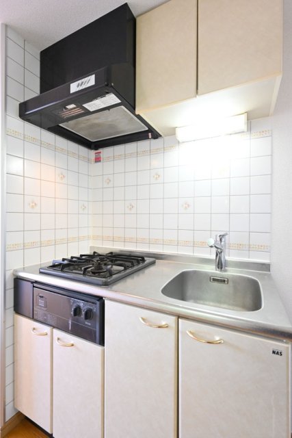 キッチンはコンパクトな感じ