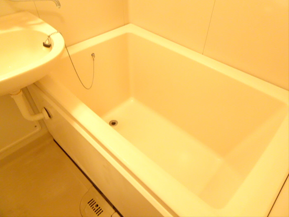 浴槽と洗面台はお隣同士です。