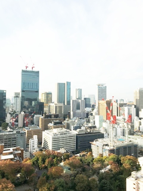 28階と高層階なので、眺めも素敵なんです。