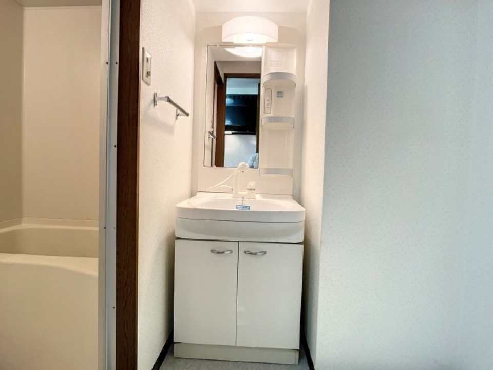 洗面台に直接収納可能