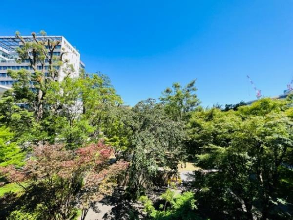 緑を感じる周辺です。