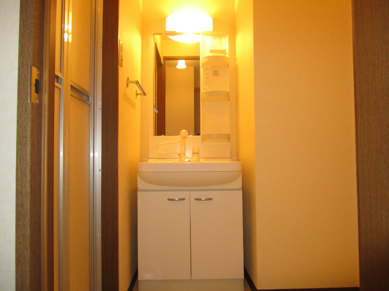 洗面台。側面の壁にはタオルラック付き。