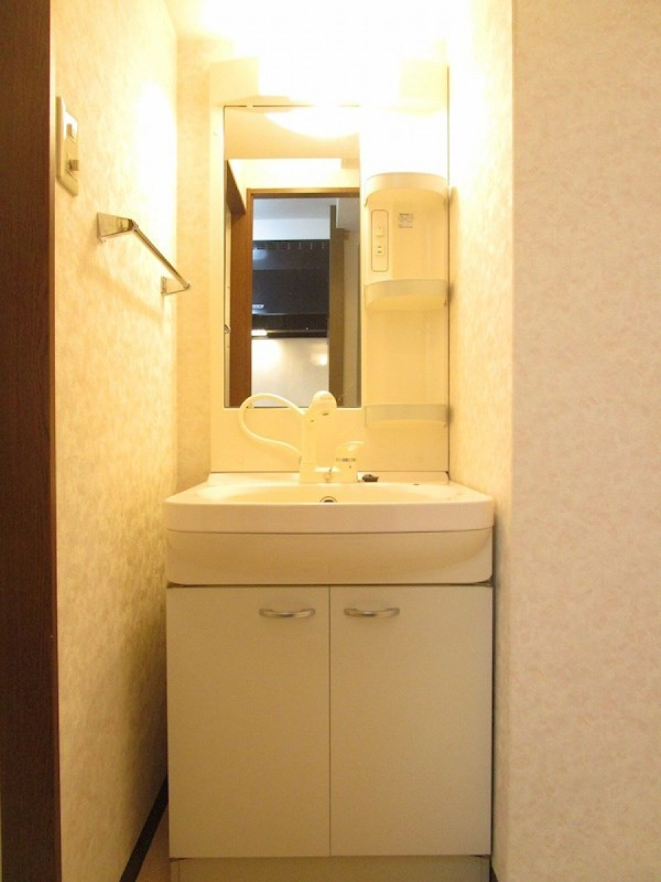 洗面所。側壁にはタオルラック付き。