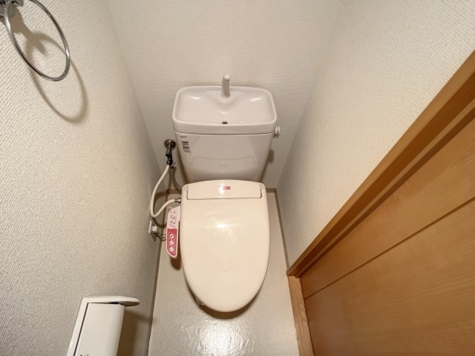 トイレ。ボタンの部分がピンクでちょっとかわいい。