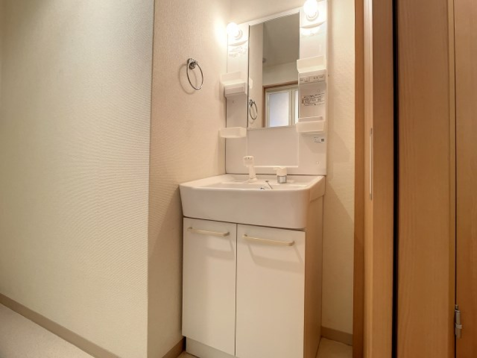 洗面台。側壁には丸型タオルラック。