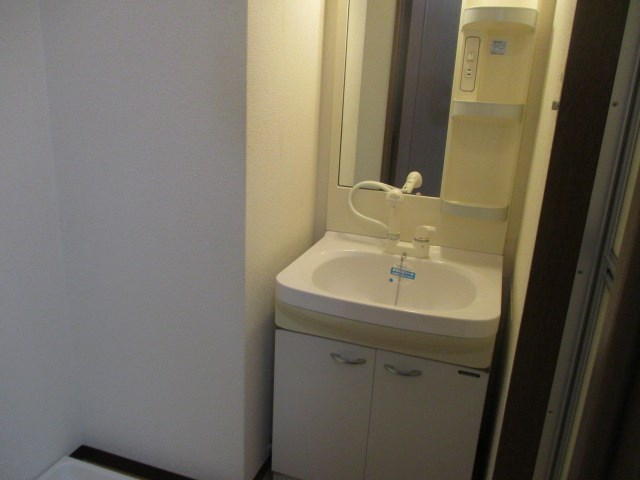 シャワー付きの洗面所。