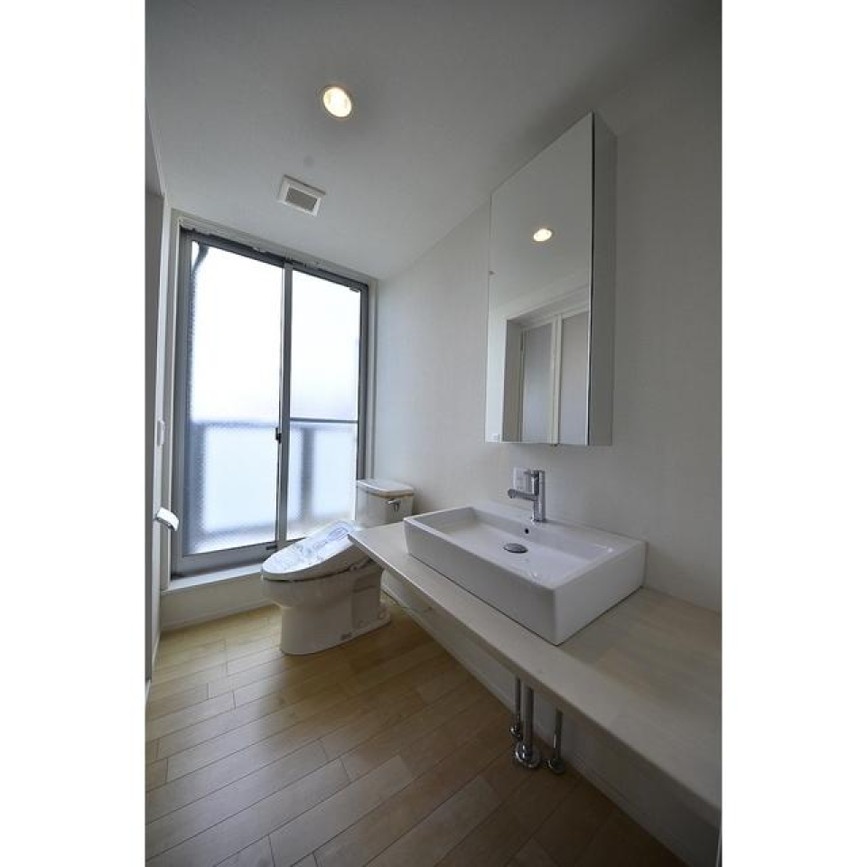 洗面台・トイレです。奥にバルコニーがあります。