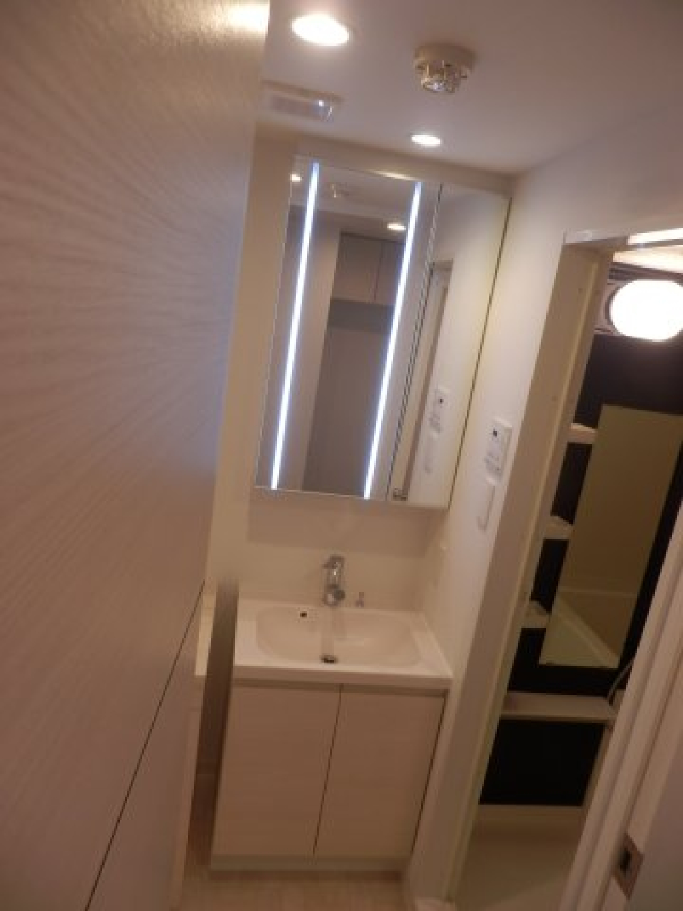 洗面台の様子。