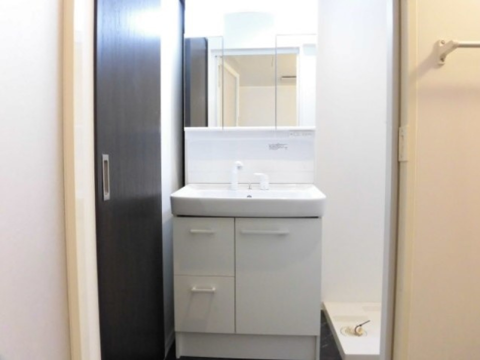 洗面は三面鏡＋下の収納ですっきりまとめられそう