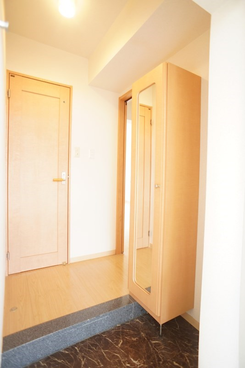 玄関の様子。シューズボックスも全身鏡もあります！