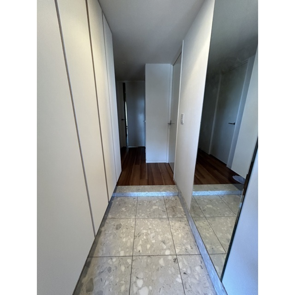 玄関からの様子です。シューズボックス付きです。