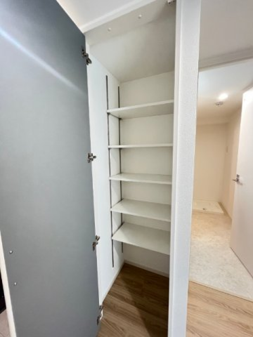 玄関横に収納があります。日用品のストックに便利です。