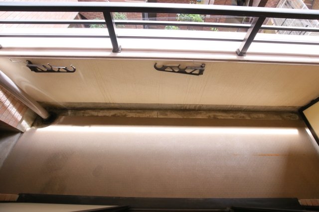 南東向きのお部屋なので、自然光も散り入れやすそうです。