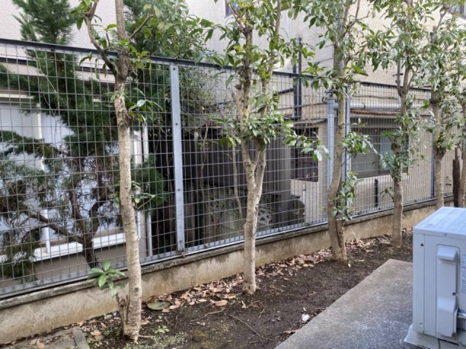 庭。気持ちばかりのお庭です。