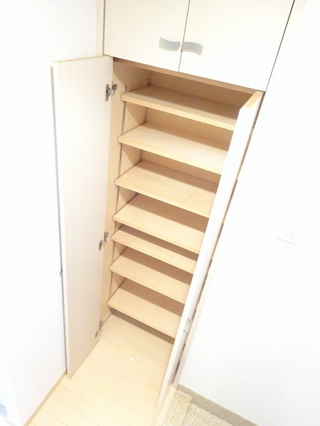 1人暮らしにはちょうどいい容量のシューズボックスです。