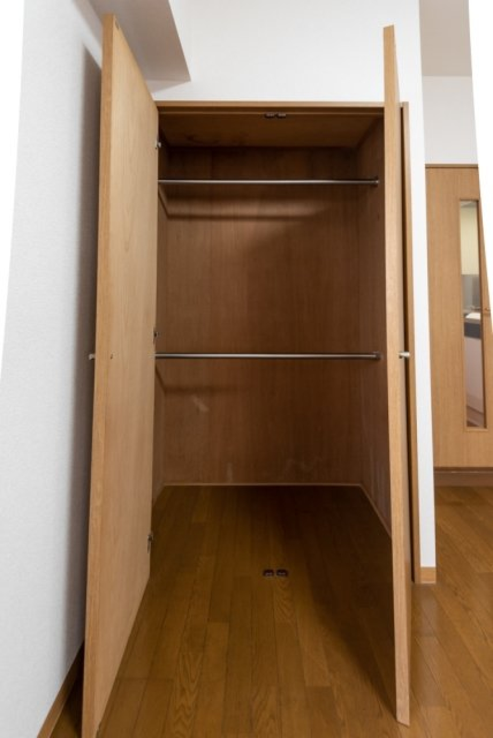 洋室の収納を開けた時の様子。
