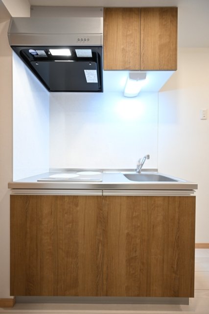 IHのコンロが設置されています。