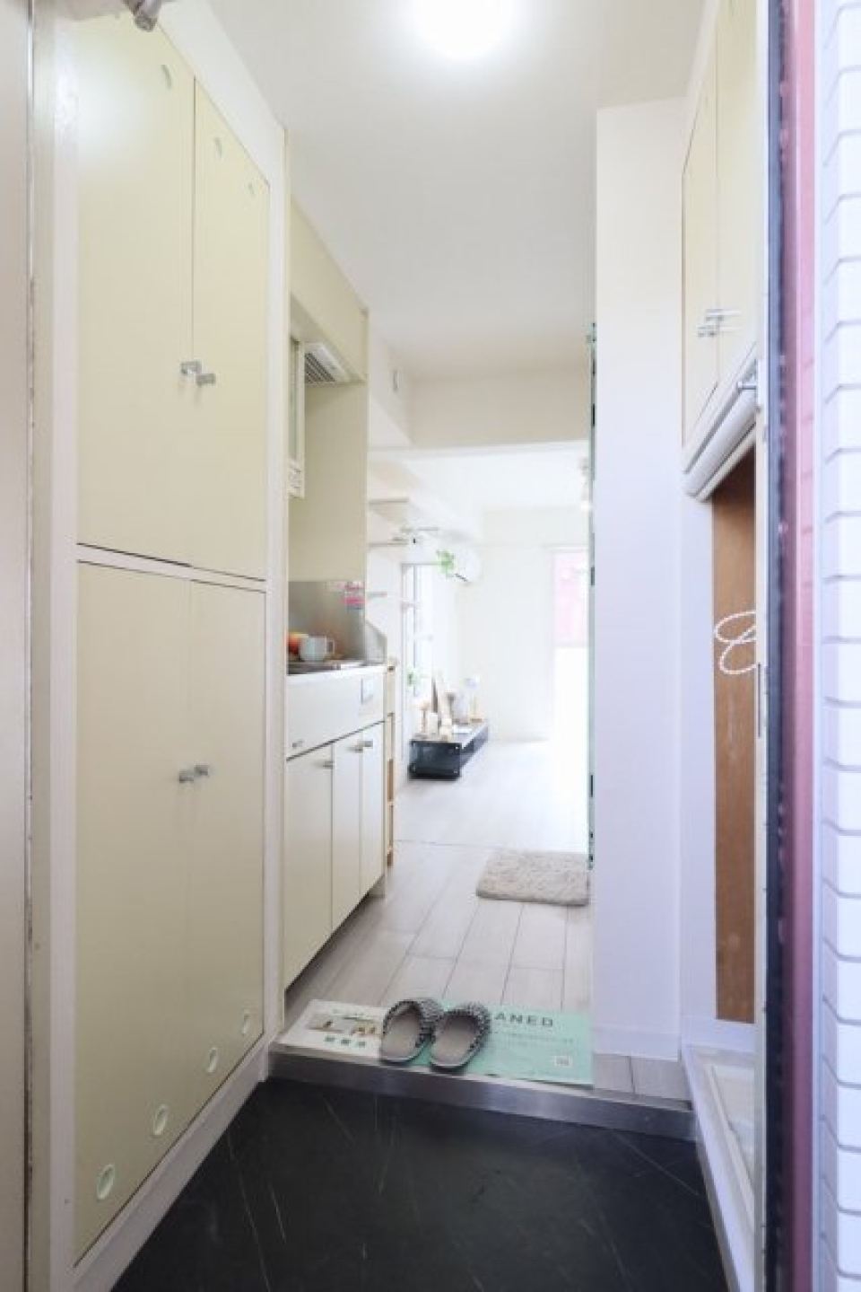 玄関からの様子。収納が沢山ある印象ですね！
家具･小物はイメージです