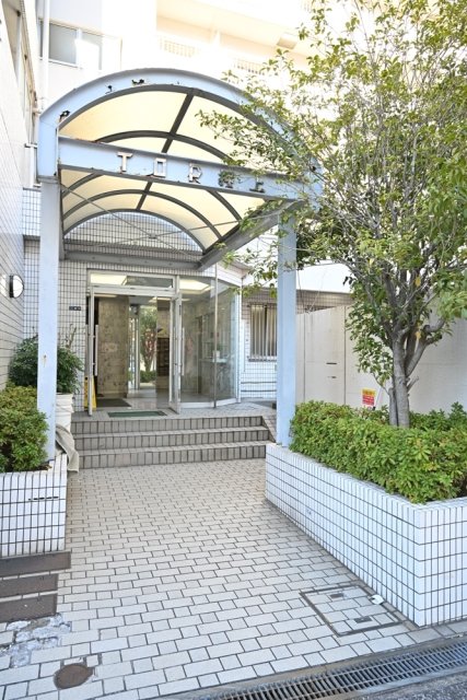 自然を感じられるエントランスになっています。