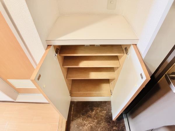 1人暮らしにはちょうどいい容量のシューズボックス。