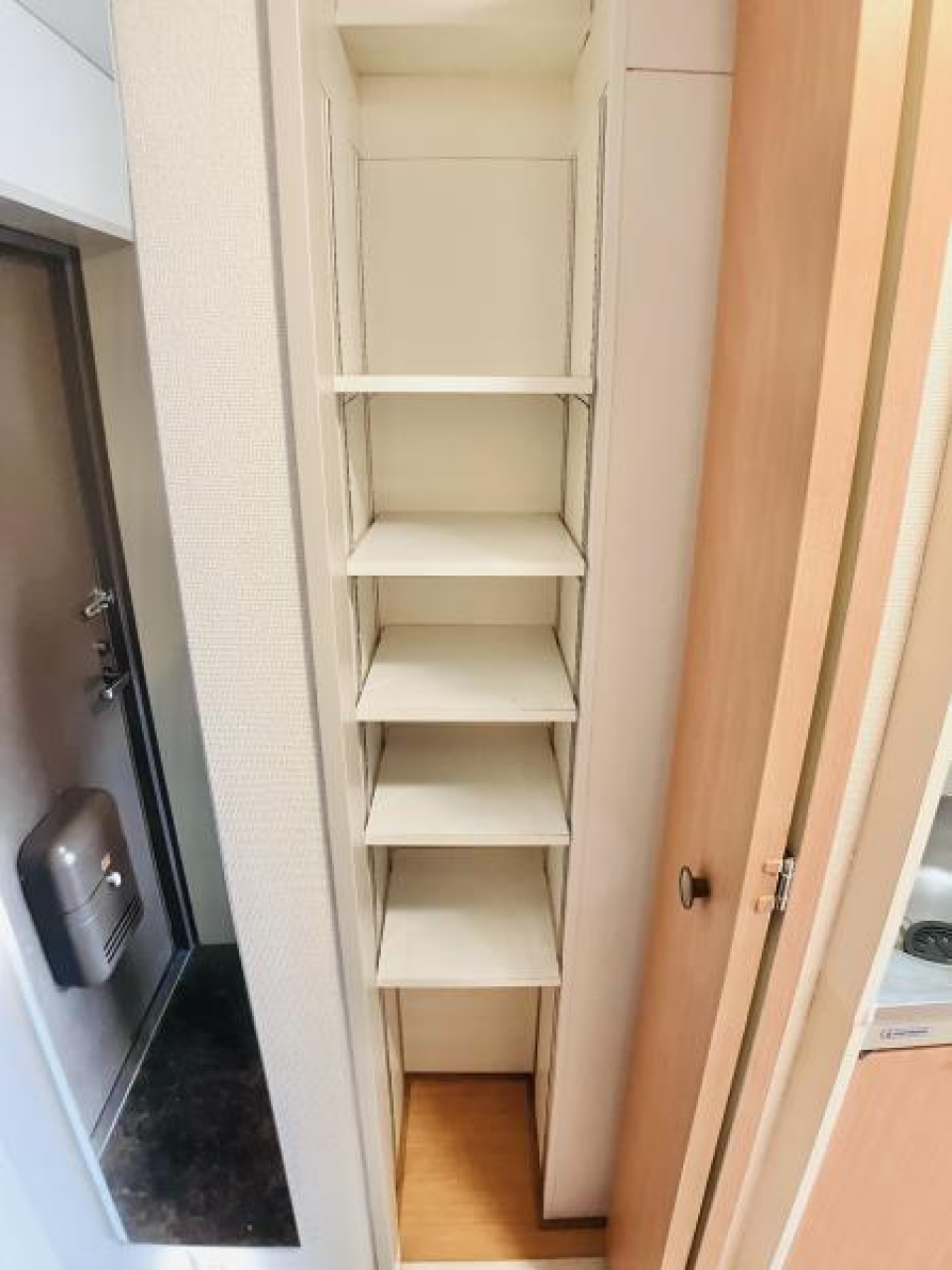 シューズボックスの反対側にも収納が完備されています。