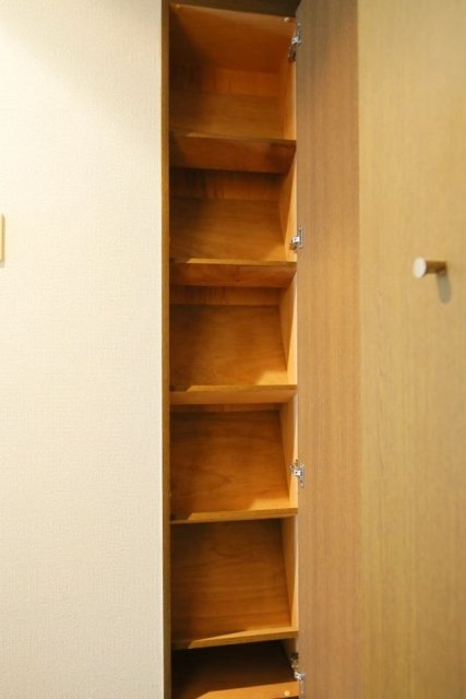 ひとり暮らしにはちょうどいいくらいのサイズのシューズボックスです。
