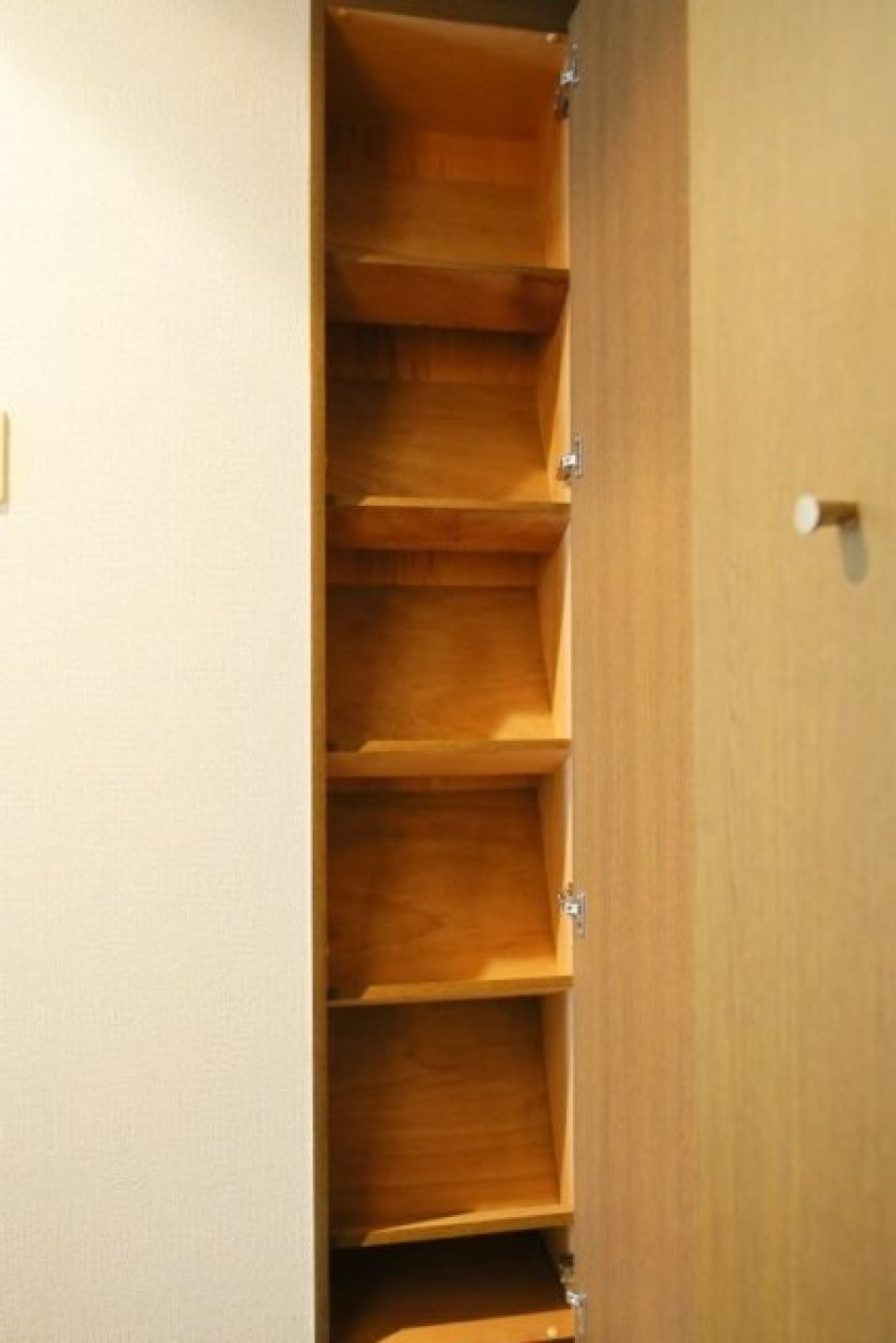 ひとり暮らしにはちょうどいいくらいのサイズのシューズボックスです。
