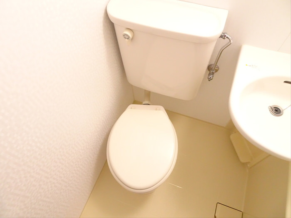 シンプルなトイレです。