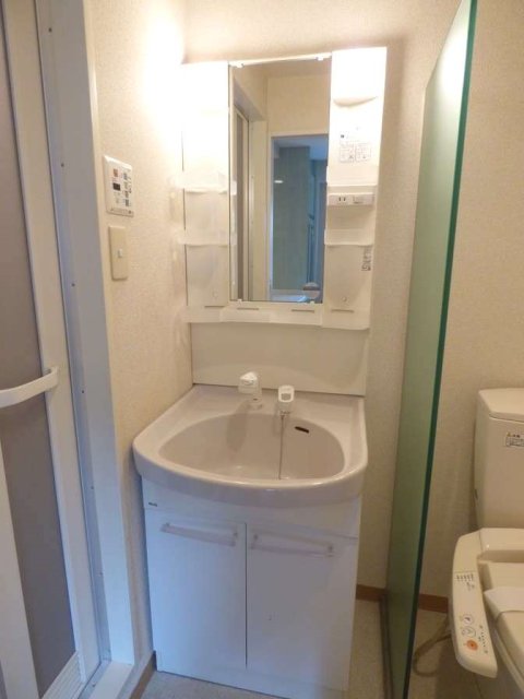 シャンプードレッサーがついた独立洗面台。