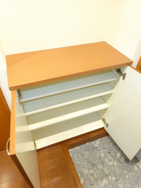 １人暮らしにはちょうどいいくらいのシューズボックス。